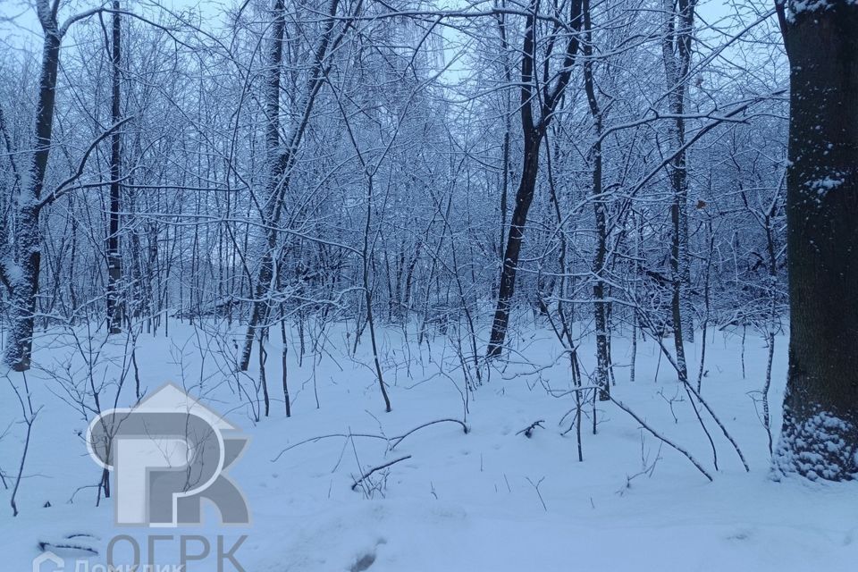 земля Балашиха городской округ, Балашиха фото 3