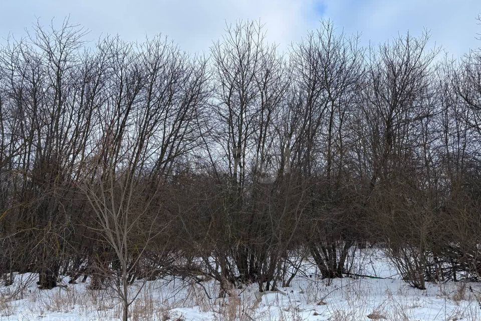 земля городской округ Коломенский д Малышево ул Полевая Коломна городской округ фото 4