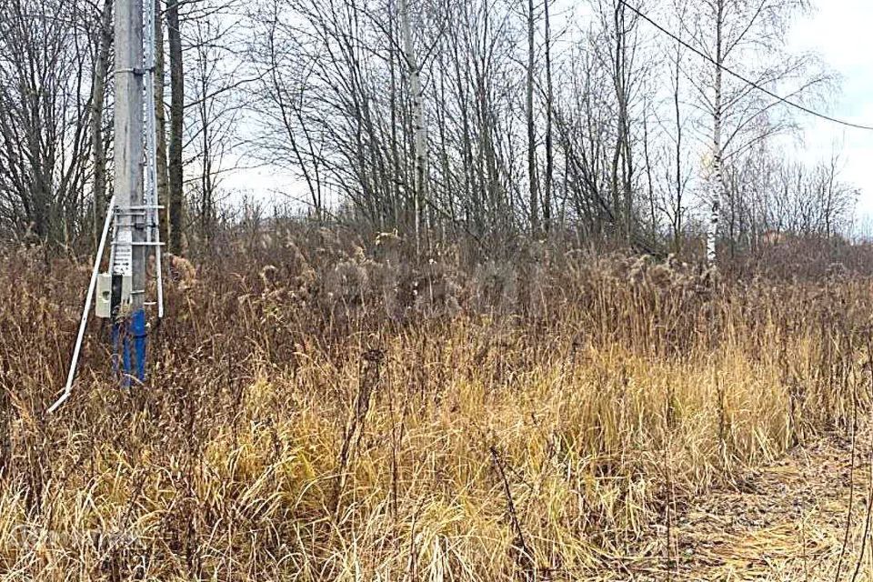 земля городской округ Раменский с. Татаринцево фото 5