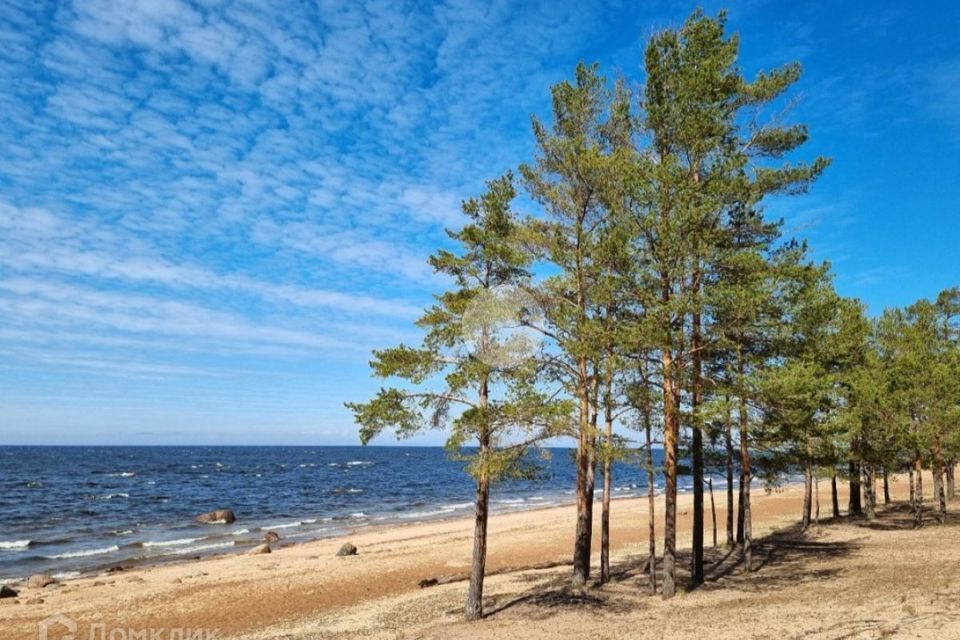 земля г Сосновый Бор Сосновоборский городской округ, Липово фото 7