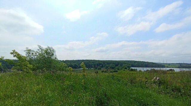 офис д Подмалинки Коломна городской округ фото