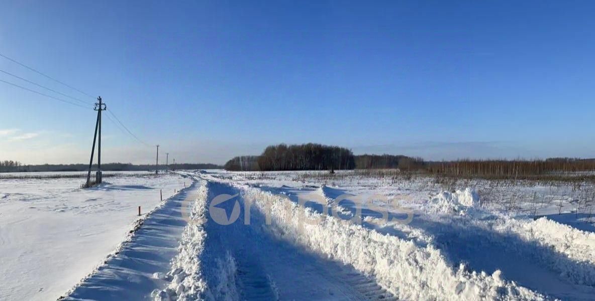 земля р-н Тюменский с Горьковка фото 16