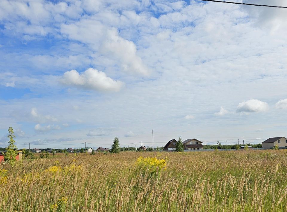 офис городской округ Луховицы п Совхоза Астапово фото 1