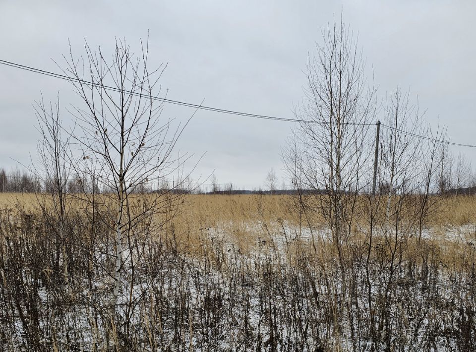 офис городской округ Луховицы п Совхоза Астапово ул. Лукина фото 2