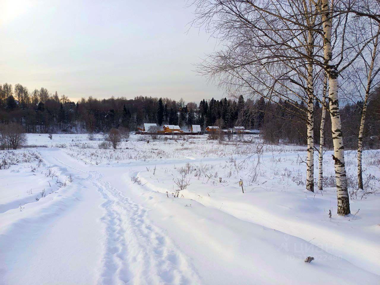 земля городской округ Дмитровский с Ильинское КП Васнецово Озеро, Васнецово озеро фото 2