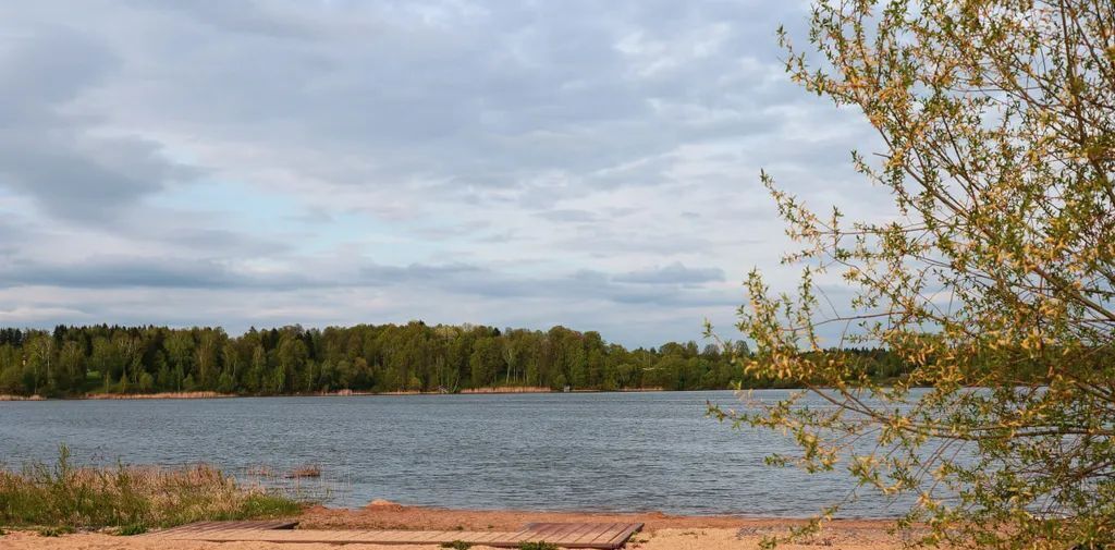 дом городской округ Волоколамский Бражниково В тер., 29 фото 31