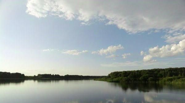 земля г Коломна ул Огородная пос. Сергиевский фото 4