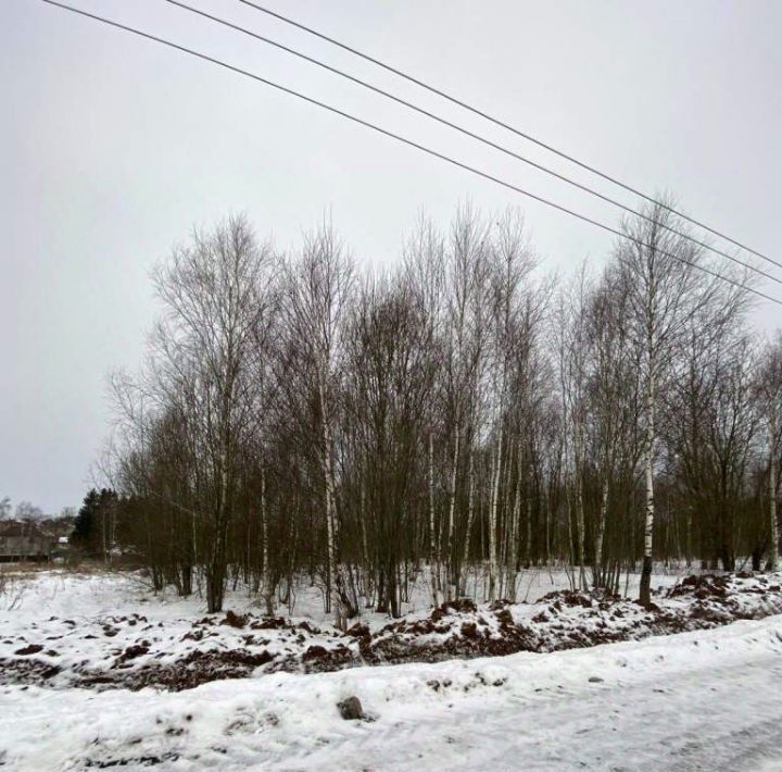 земля городской округ Чехов д Большое Петровское ул Славянская Петровское Парк кп фото 3