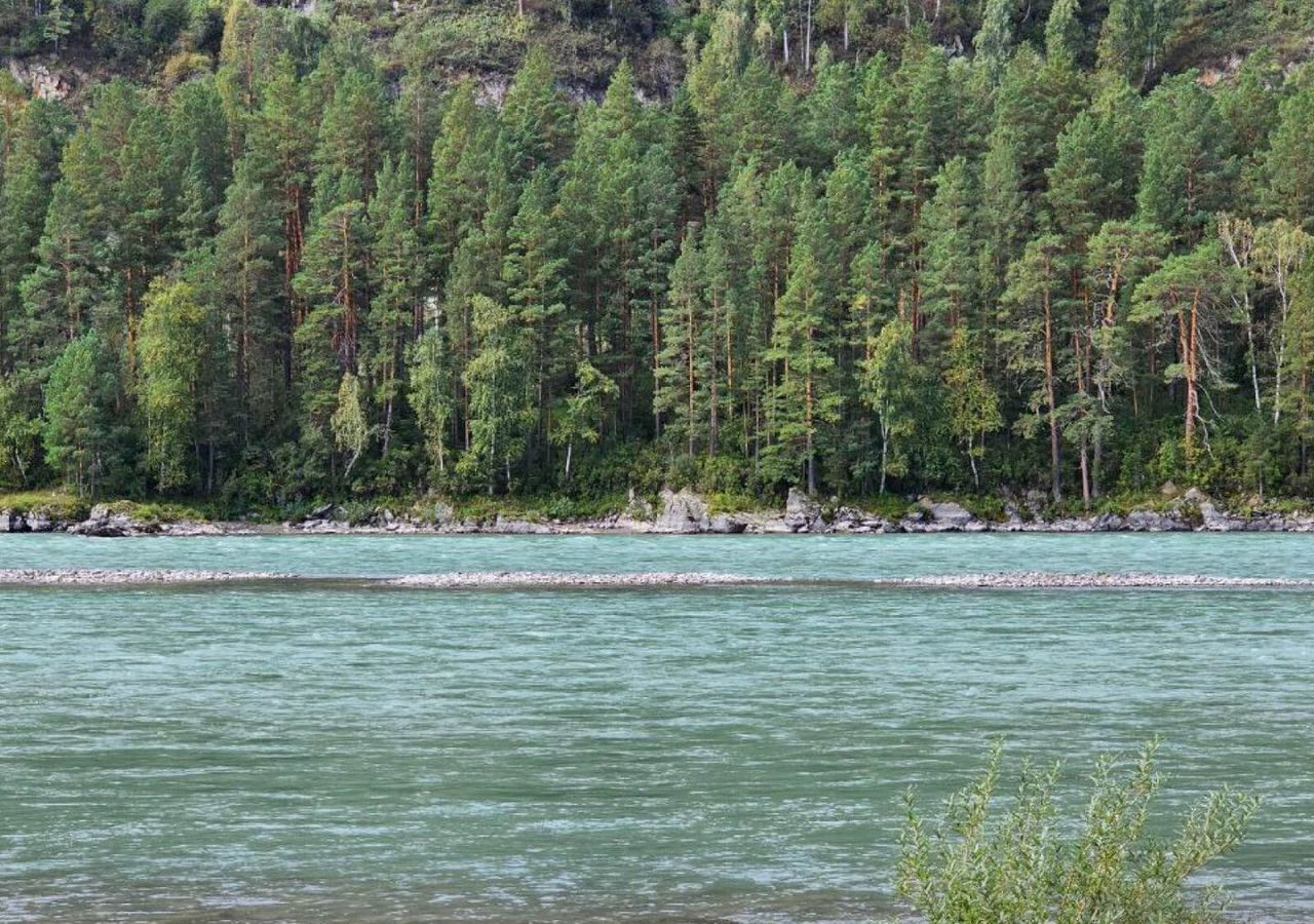 земля р-н Чемальский с Узнезя Горно-Алтайск фото 10