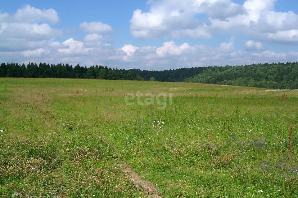 земля р-н Ленинский с Слободка пр-д 2-й Лазурный 6 Тула городской округ фото 4