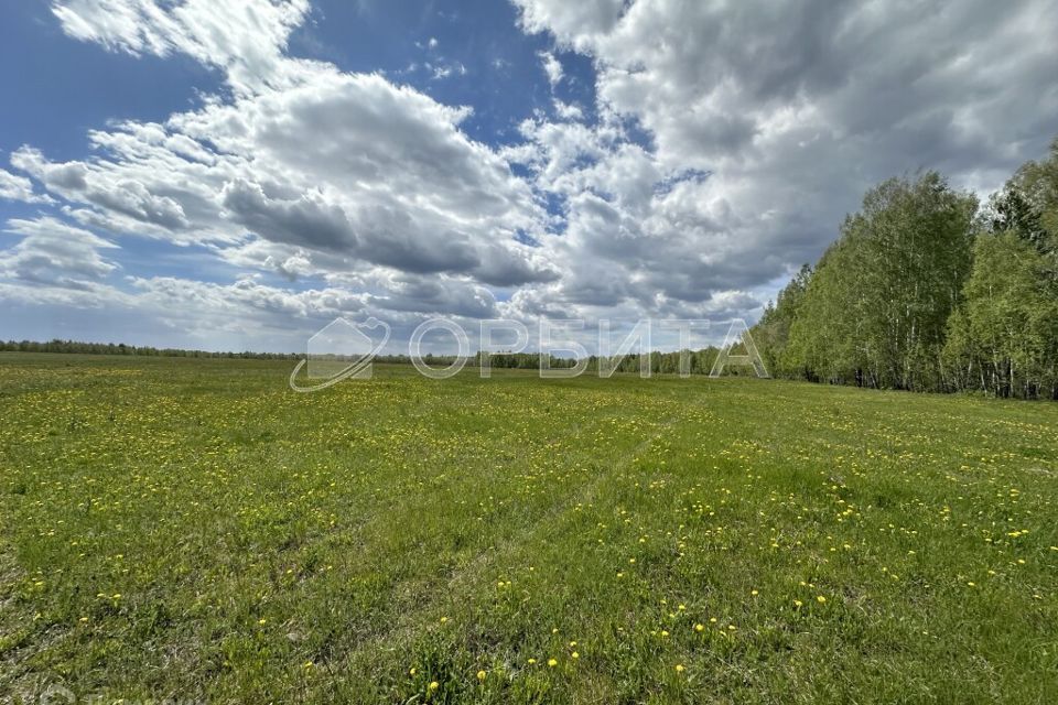 земля г Тюмень Тюмень городской округ, Тракт, улица Червишевский фото 2