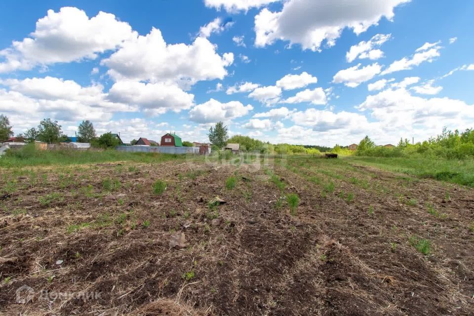 земля г Тюмень Тюмень городской округ, СТ Меркурий фото 4