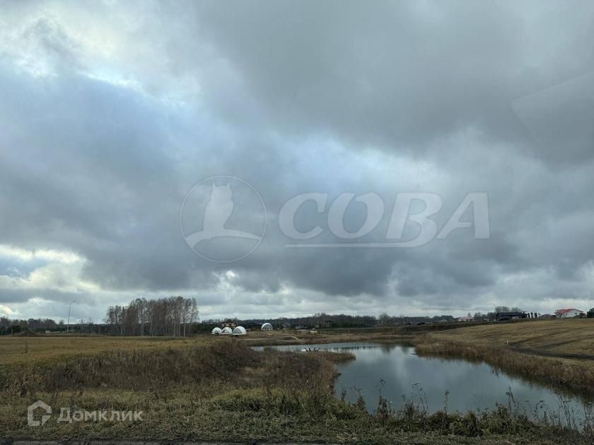 земля р-н Тюменский ДПК Новокаменский, Коттеджный посёлок Новокаменский фото 6