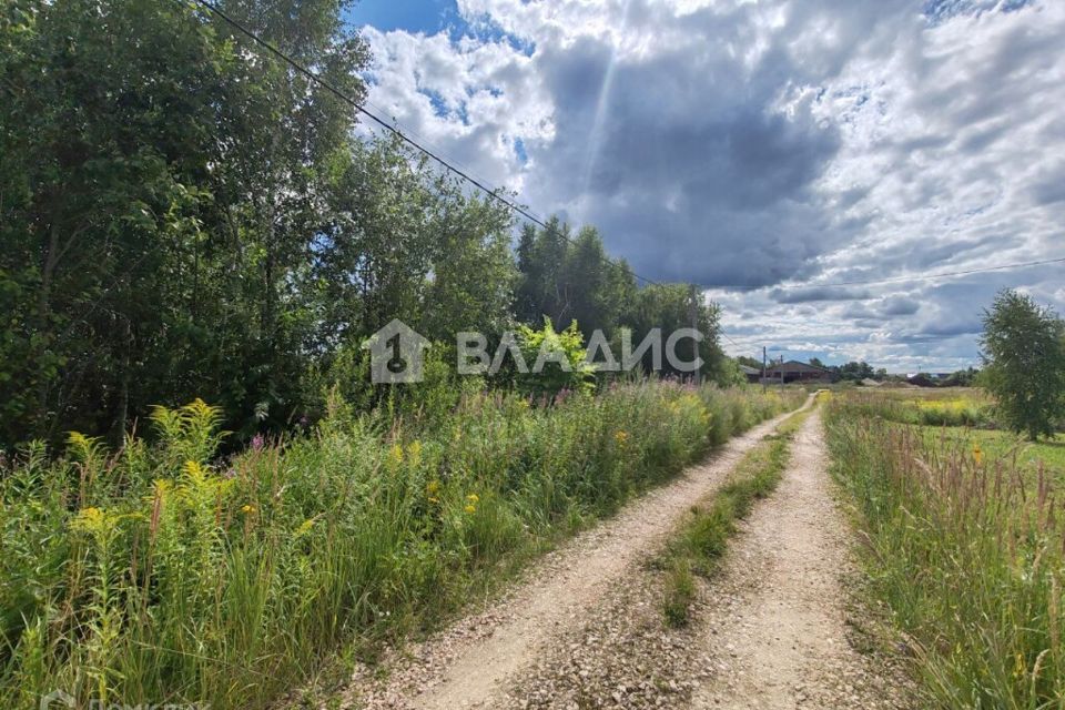 земля р-н Богородский д. Инютино фото 4