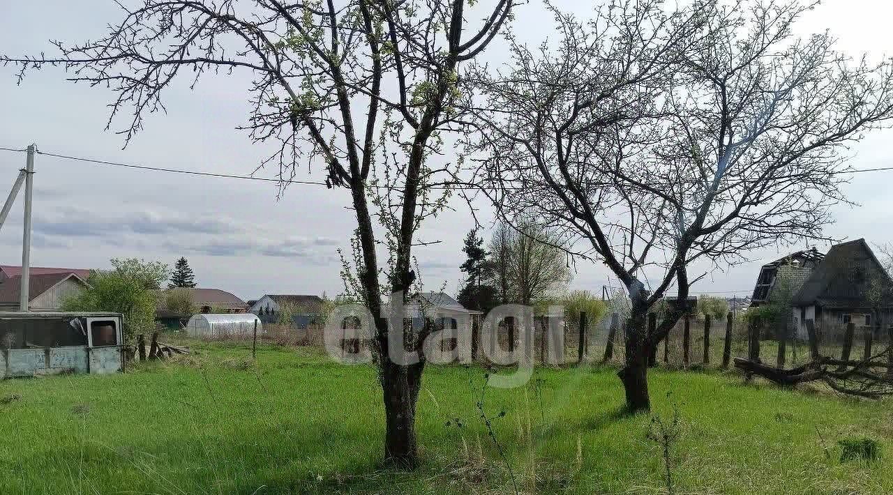 земля р-н Брянский п Верный Путь снт Урожайное пос, садоводческое объединение, Снежское с фото 13