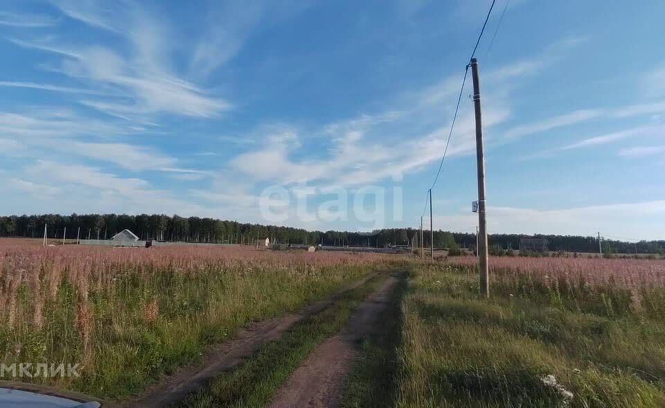 земля р-н Сосновский фото 1