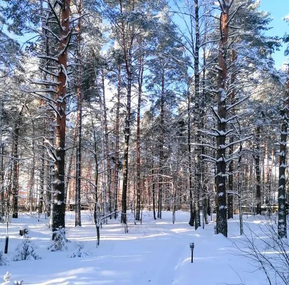 дом городской округ Раменский д Вялки ул Полянка 2в фото 28