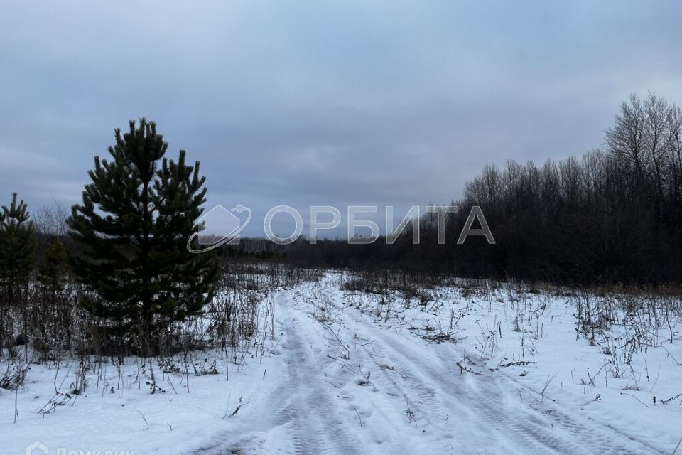 земля р-н Тюменский с Горьковка пер Пионерский 6 Горьковское сельское поселение фото 10