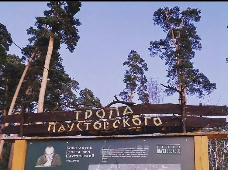 дом г Рязань р-н Советский ул Владимирская 87д фото 35