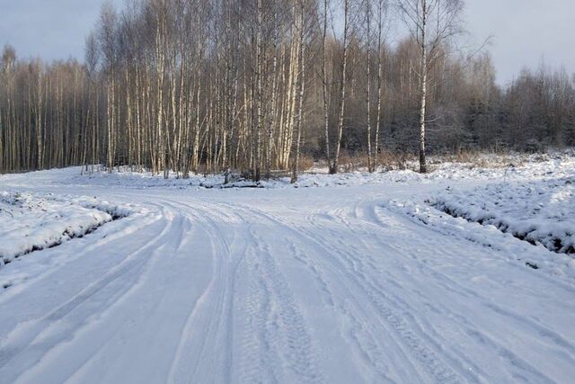 земля д. Сбоево фото