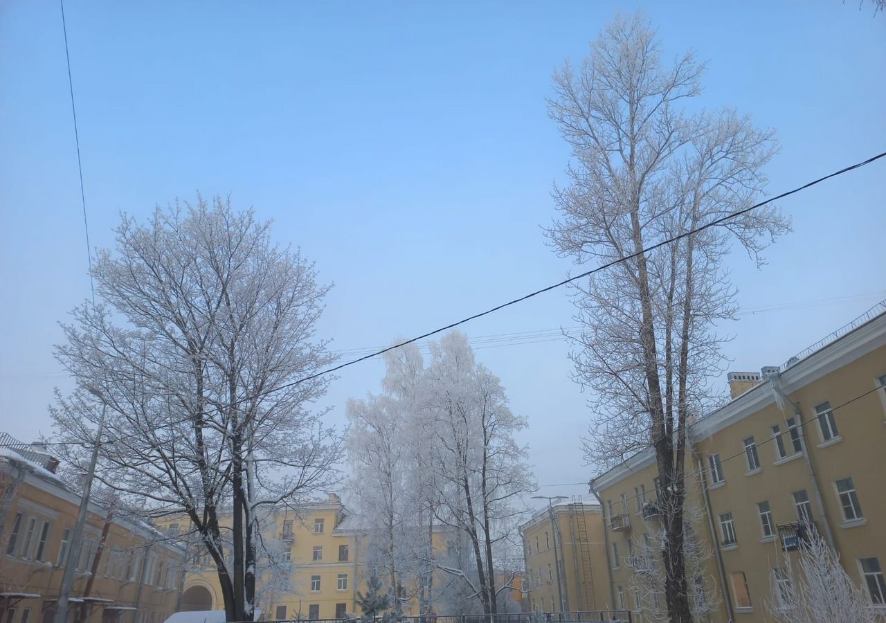 квартира г Санкт-Петербург п Металлострой ул Центральная 4а метро Рыбацкое р-н Колпинский фото 26