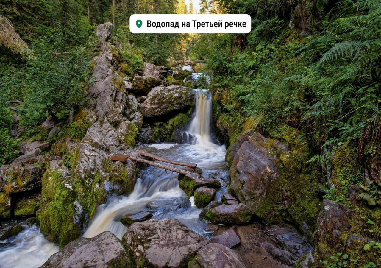 земля р-н Турочакский с Артыбаш Турочак фото 7