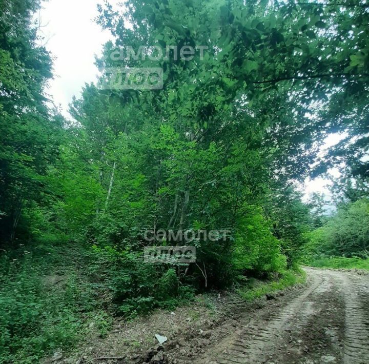 земля р-н Туапсинский с Мессажай Радуга СТ фото 2