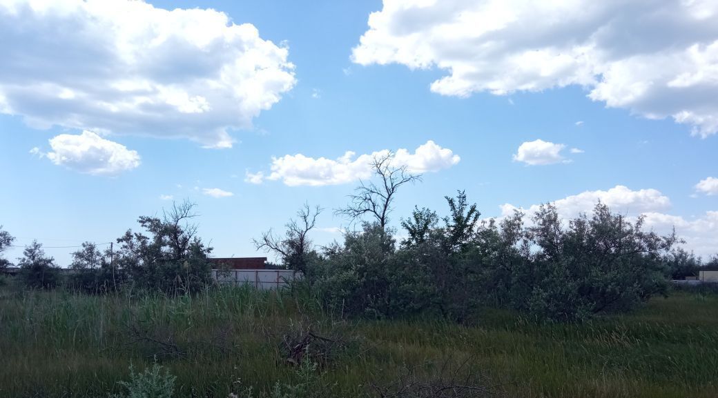 земля р-н Сакский пгт Новофедоровка снт Береговой СК фото 4