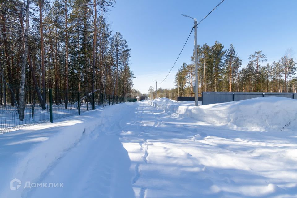 земля г Сургут Сургут городской округ, СНТ Маяк фото 6