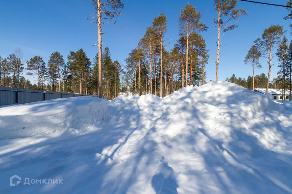 земля г Сургут Сургут городской округ, СНТ Маяк фото 8