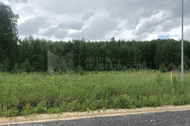 Тюмень городской округ, ДНТ Большое Царёво - 1 фото