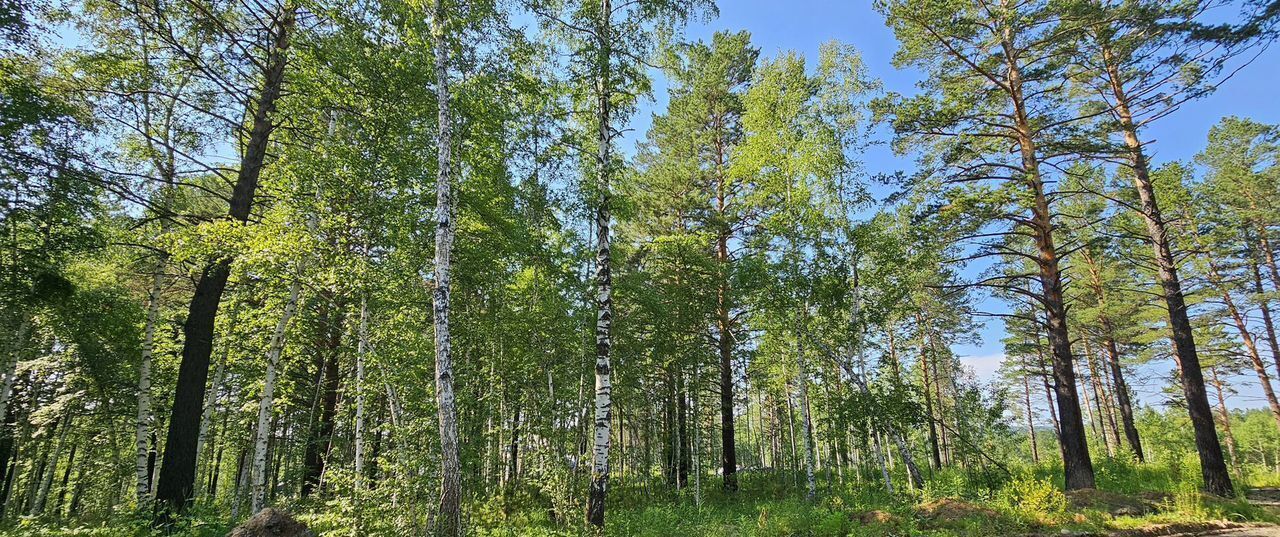 земля р-н Иркутский ДПК Садко, Иркутск фото 1