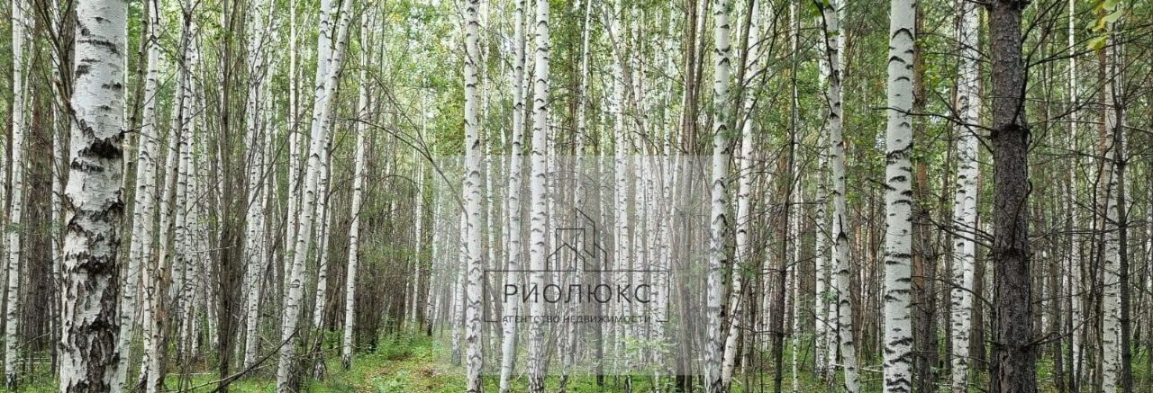 земля г Екатеринбург р-н Чкаловский Кургановский дп фото 1