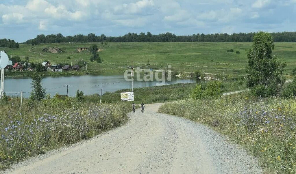 земля р-н Мошковский п Красногорский Новомошковский сельсовет фото 6