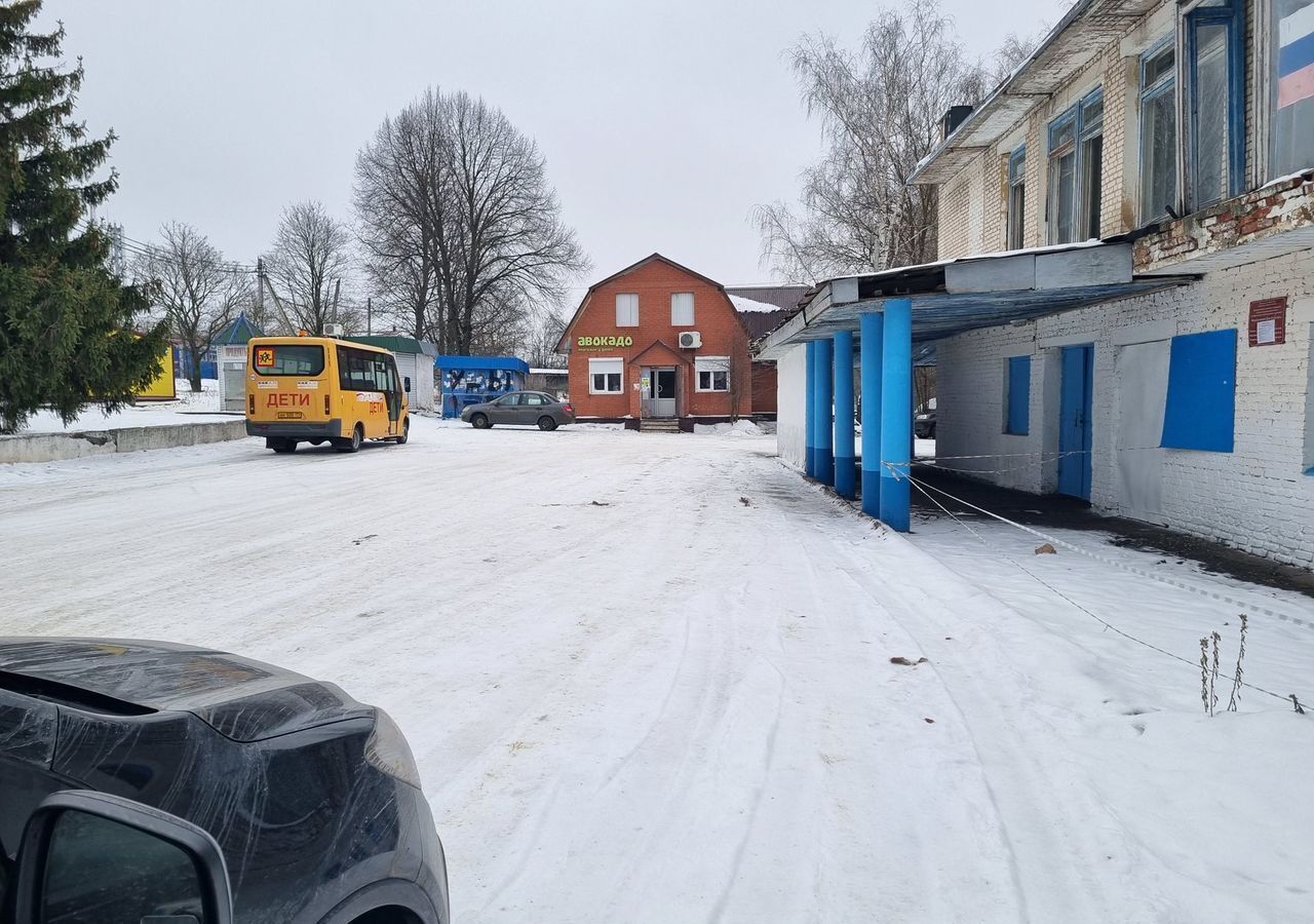 дом р-н Плавский с Мещерино ул Заречная Камынинское, муниципальное образование, Плавск фото 10