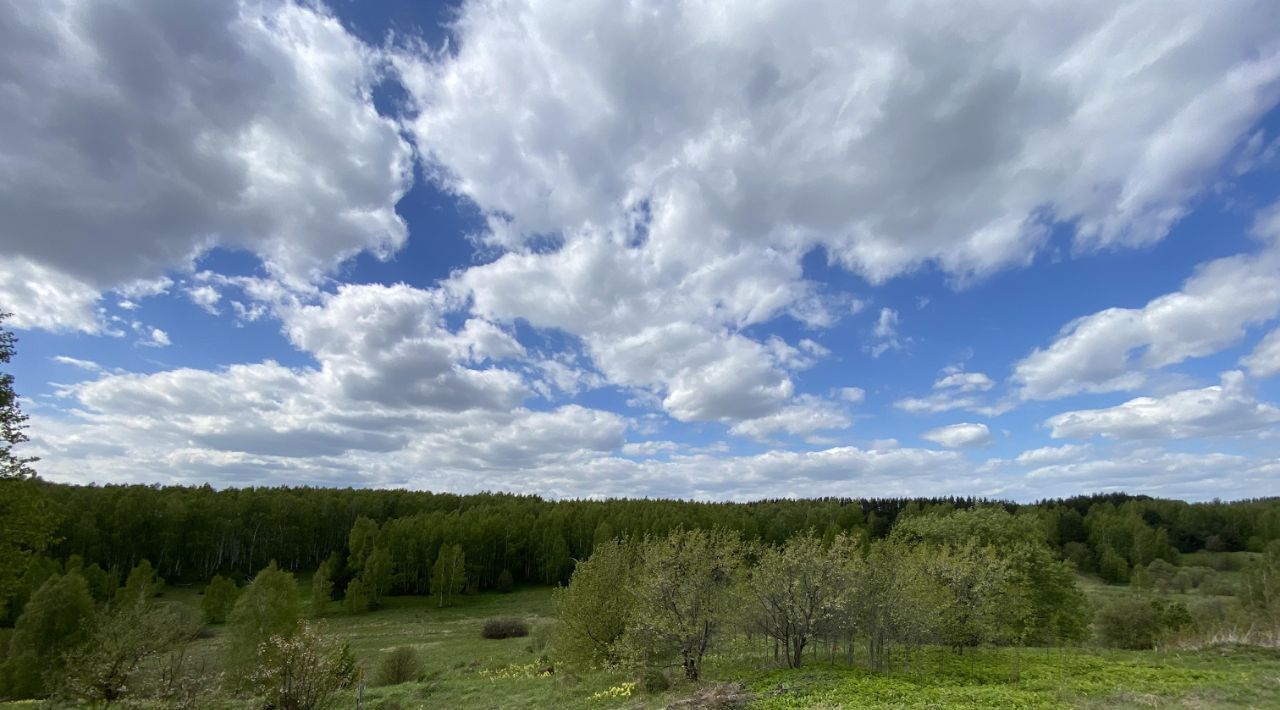 земля р-н Богородский д Куликово ул Большое Куликово фото 6