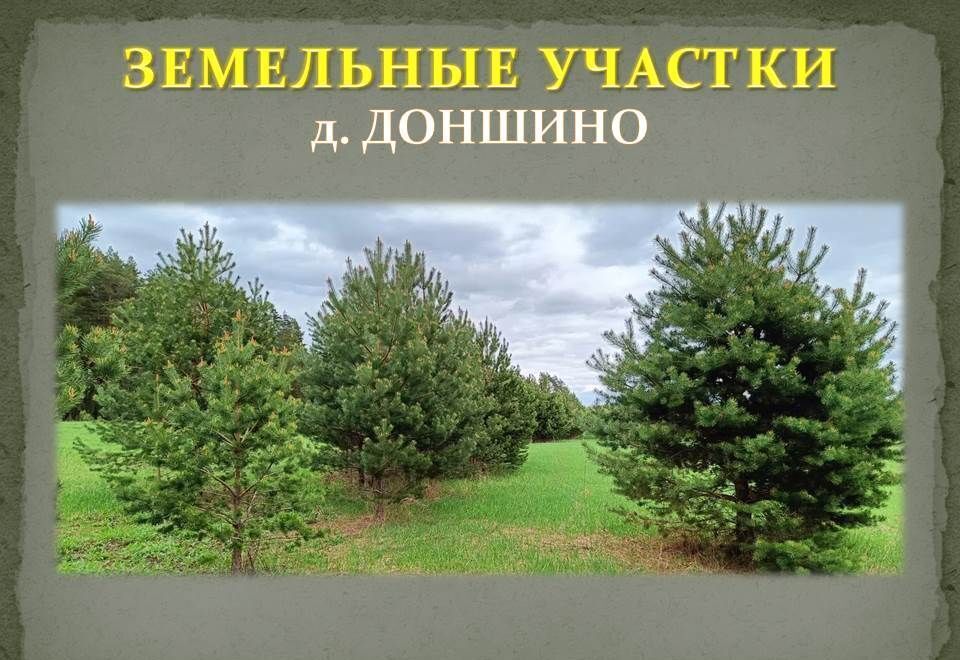 земля р-н Калининский д Доншино ул Новгородская Тверь фото 32