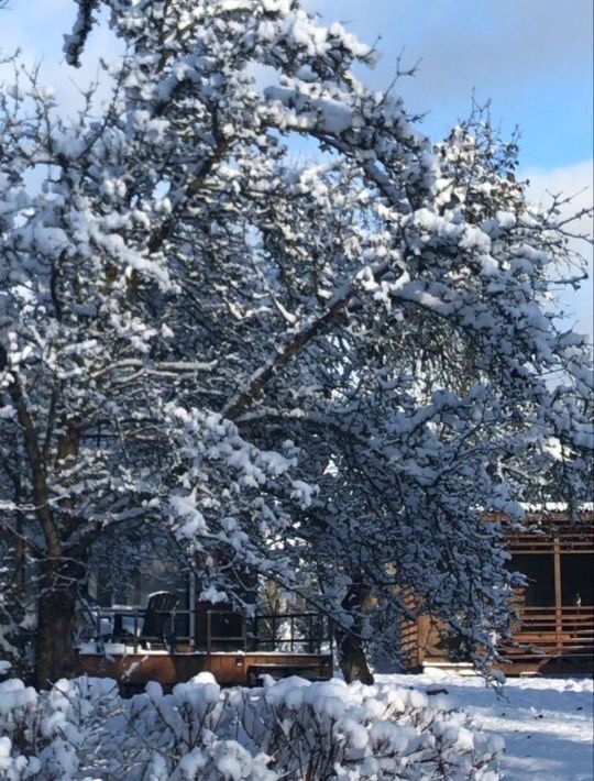 дом р-н Тосненский д Костуя ул Лесная 25 Любанское городское поселение фото 1