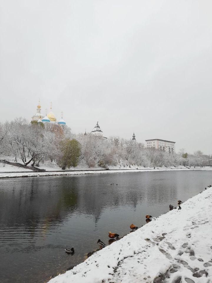 квартира г Москва ЦАО Таганский пер Новоспасский 5 Московская область фото 10