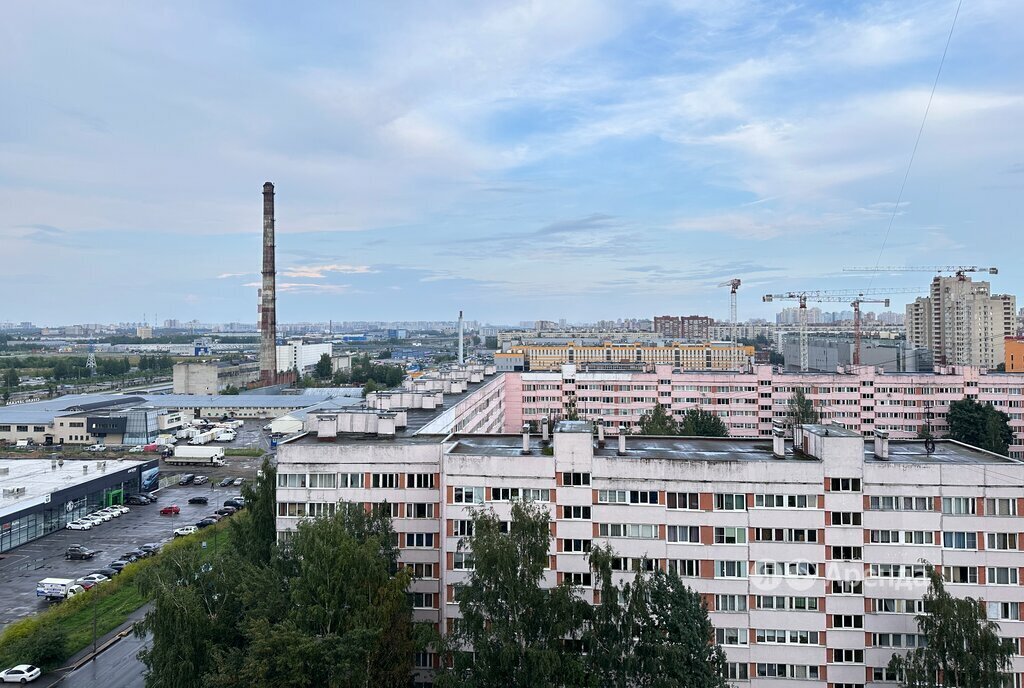 квартира г Санкт-Петербург метро Проспект Просвещения ул Прокофьева 7к/2 округ Шувалово-Озерки фото 12