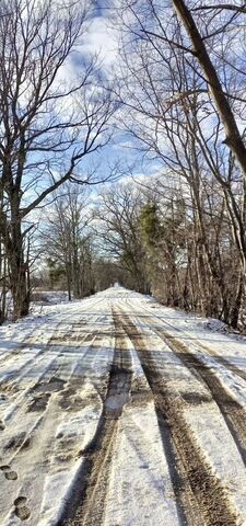 п Голубево ул 2-я Загорская Калининград фото