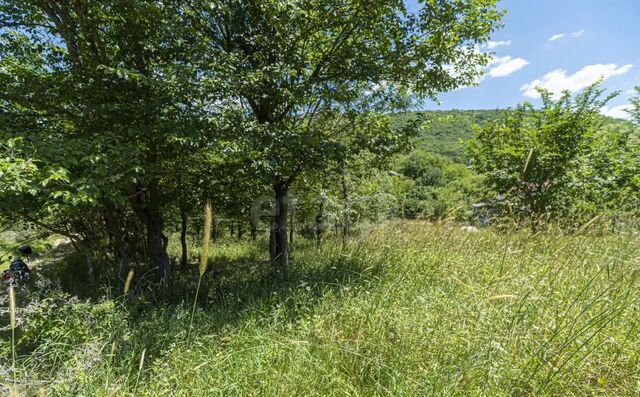 ул Школьная Куйбышевское сельское поселение, Бахчисарай фото