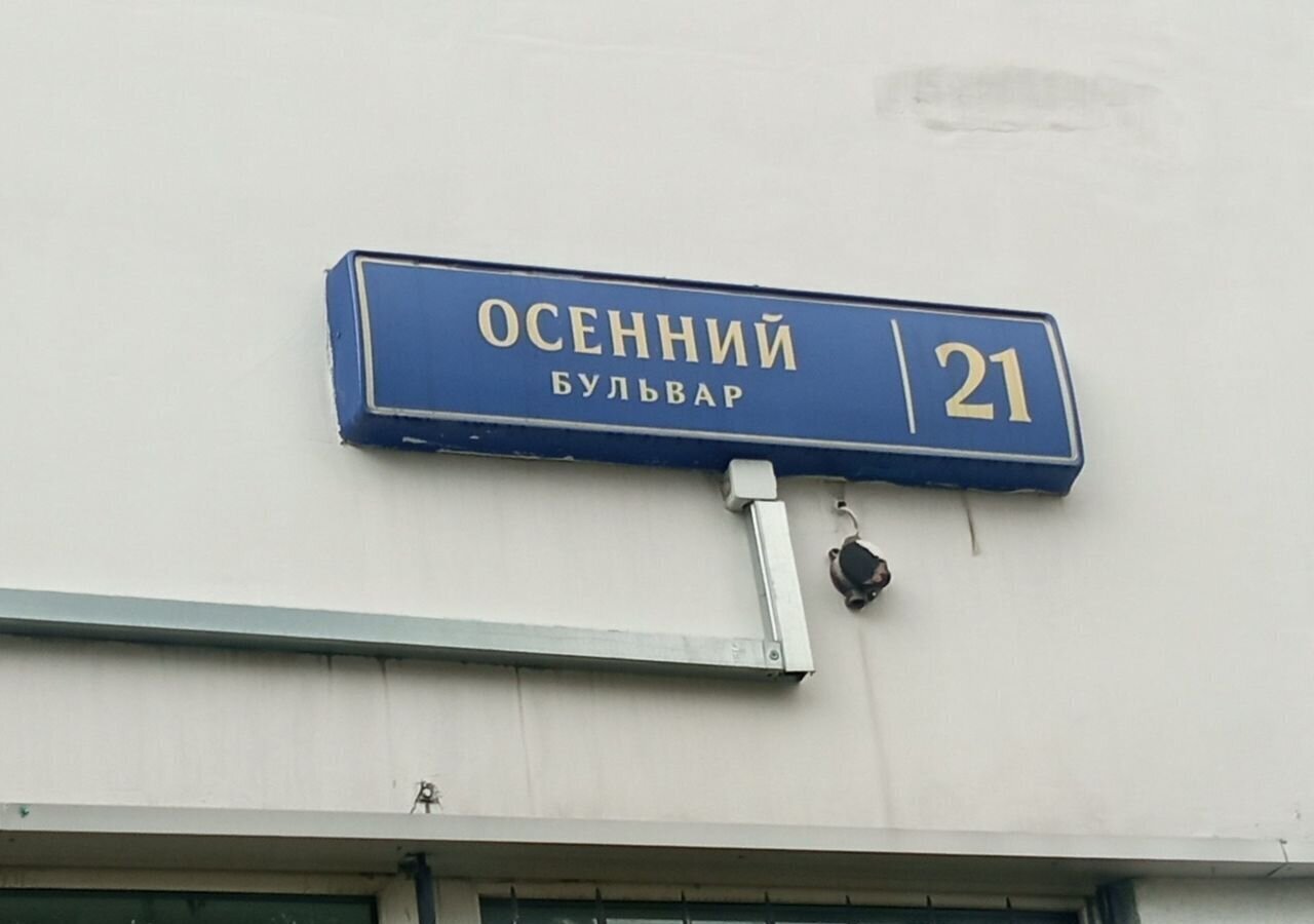 свободного назначения г Москва метро Крылатское б-р Осенний 21 муниципальный округ Крылатское фото 8