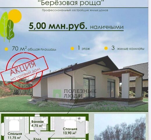 снт Березовая роща фото