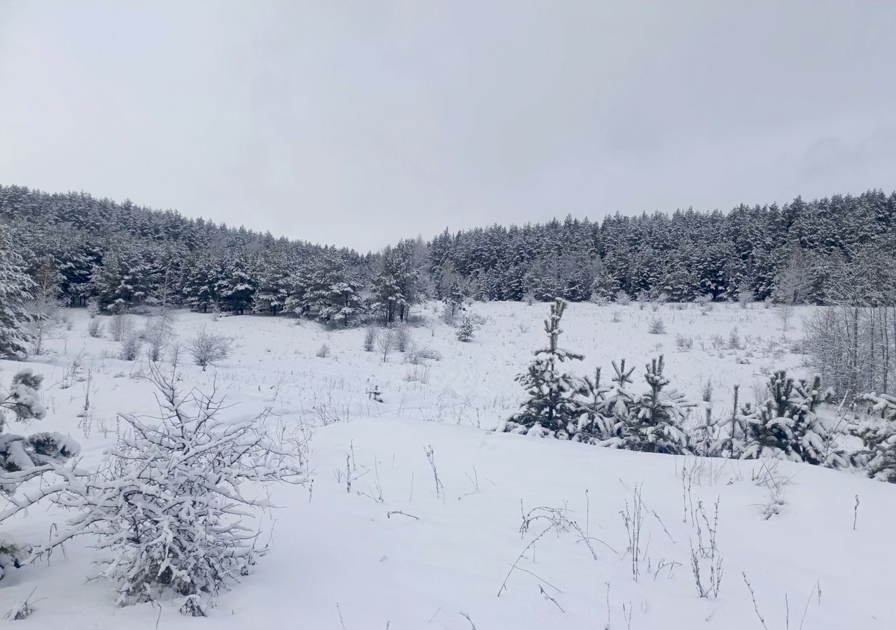 земля р-н Нижнеломовский д Волженка ул Буденного Нижний Ломов фото 3