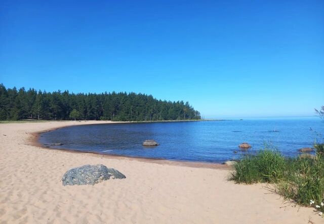 Куркиёкское сельское поселение, Ленинградская область, Кузнечное фото