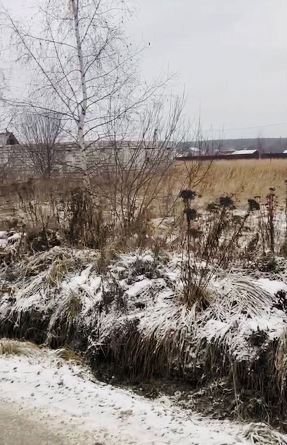 земля городской округ Раменский с Никоновское 44 км, Ильинское, Каширское шоссе фото 6