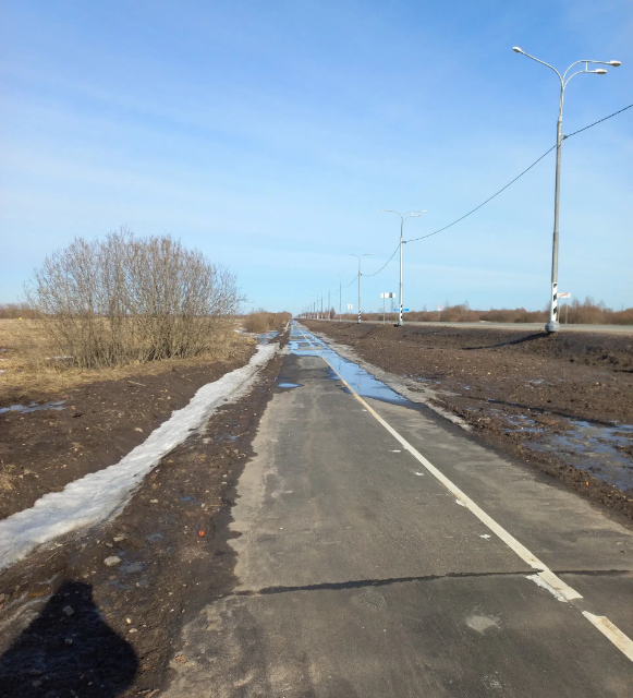 земля р-н Новгородский д. Борки фото 2