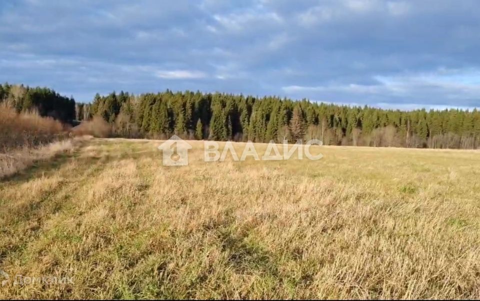 земля р-н Вологодский д. Прохорово фото 2