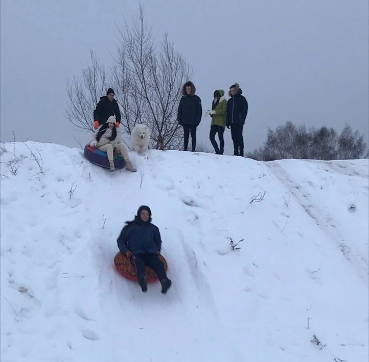 дом р-н Богородский с Афанасьево ул Мыза 9а фото 21